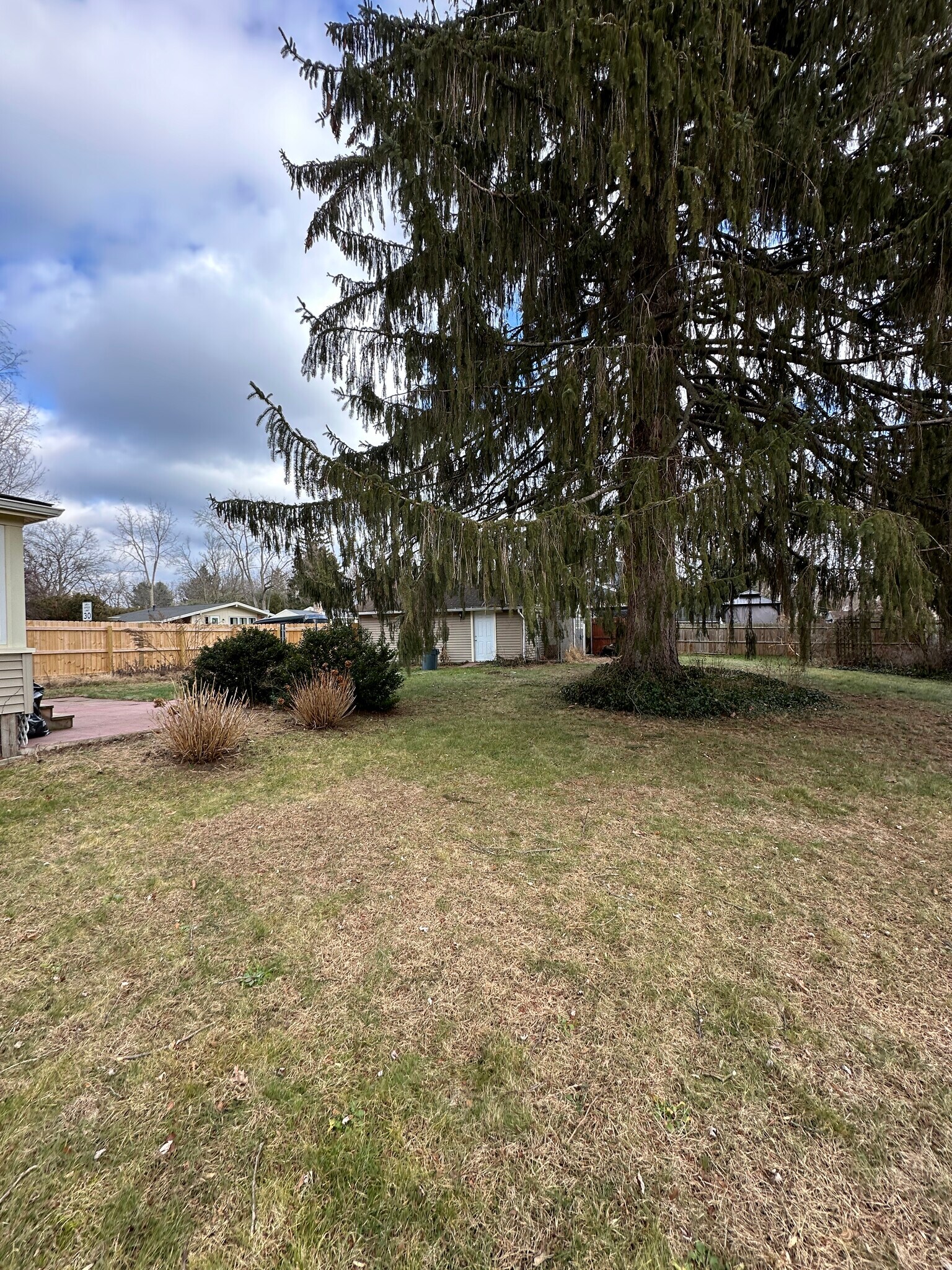 Backyard - 260 Jefferson Ave