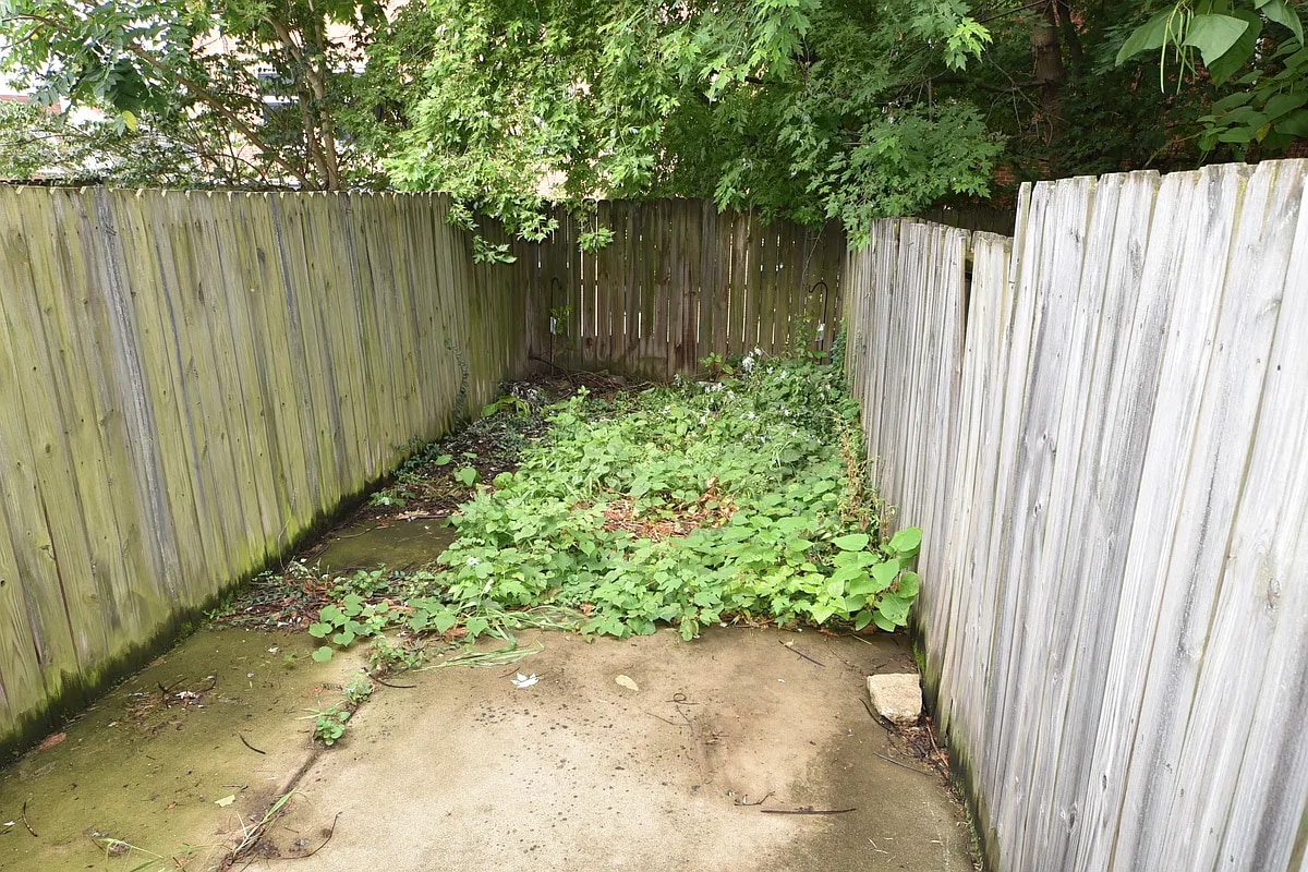 Building Photo - 746 Columbia St