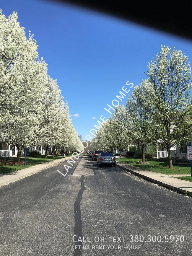 Building Photo - 2623 Bloom Dr