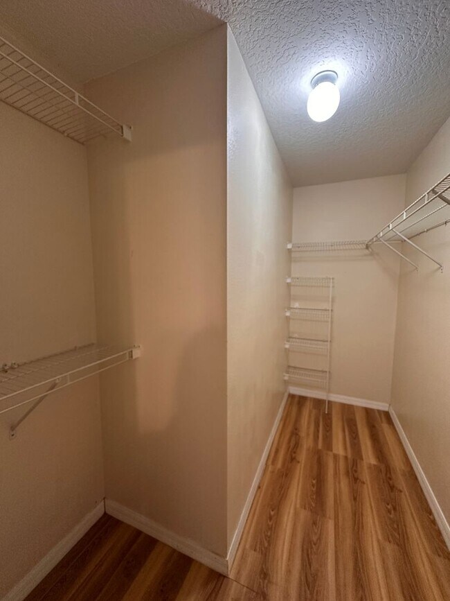 Building Photo - Palm Coast Charm