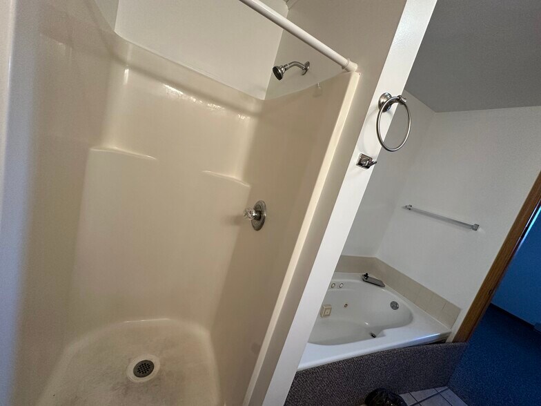 Walk-in shower and separate jacuzzi - 1010 Lakeshore Dr