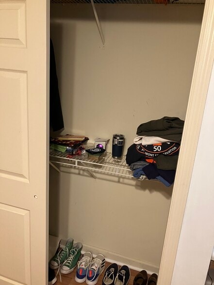 Bedroom Closet - 155 Anderson Hwy