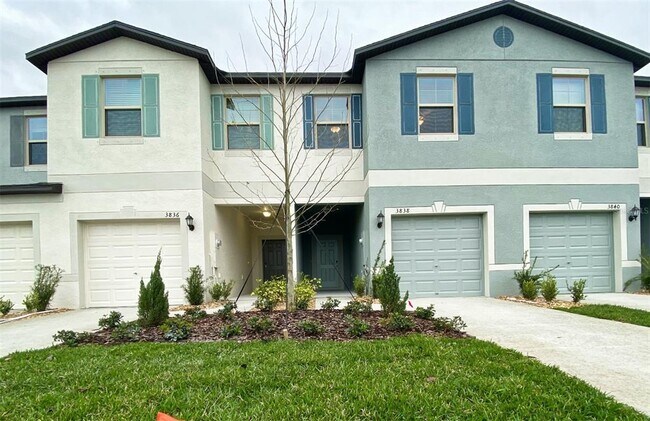 Primary Photo - 3836 Cat Mint St