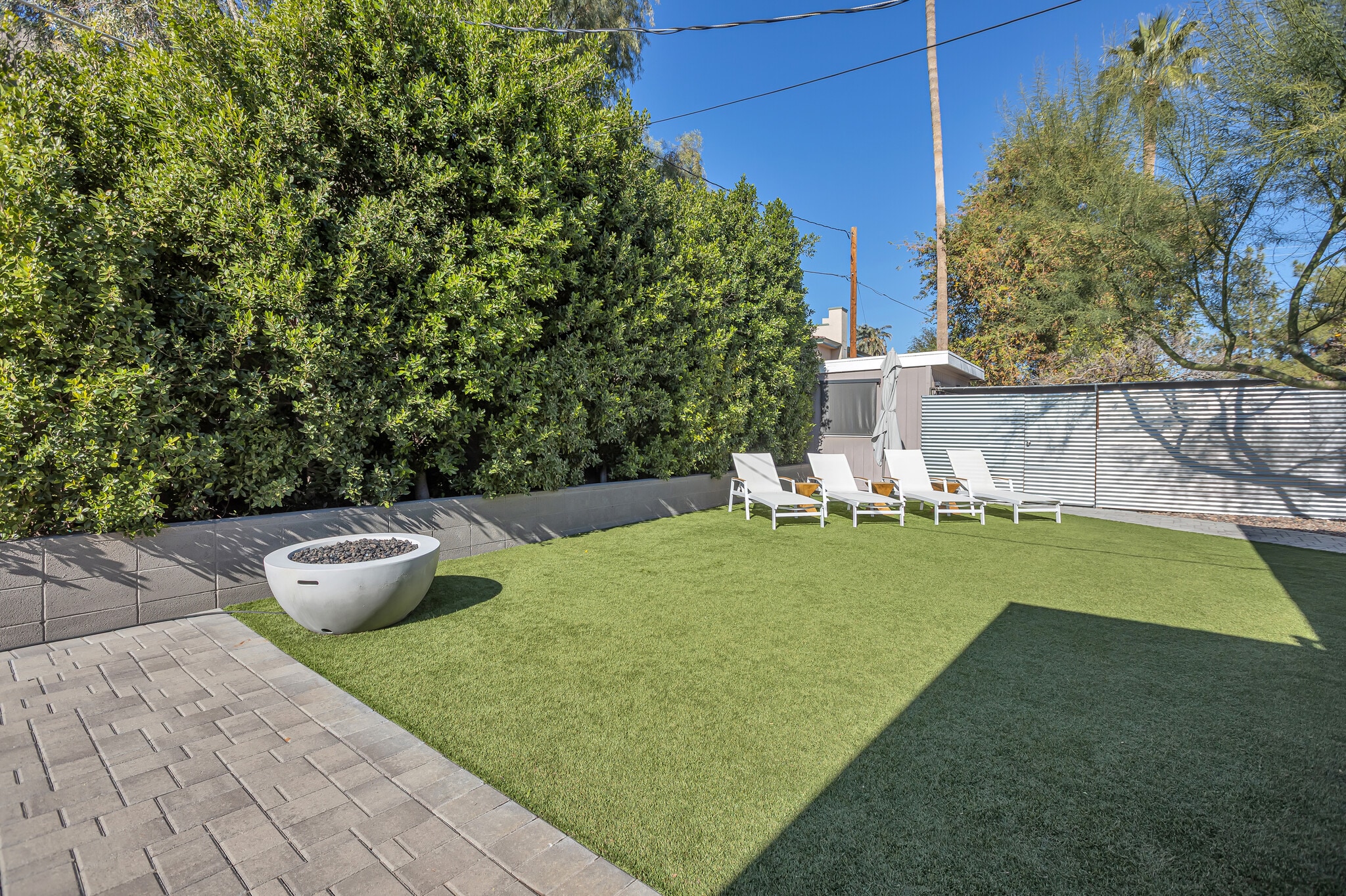 Spacious backyard with sun loungers, gas fireplace, and mature ficus trees - 6136 N 9th St