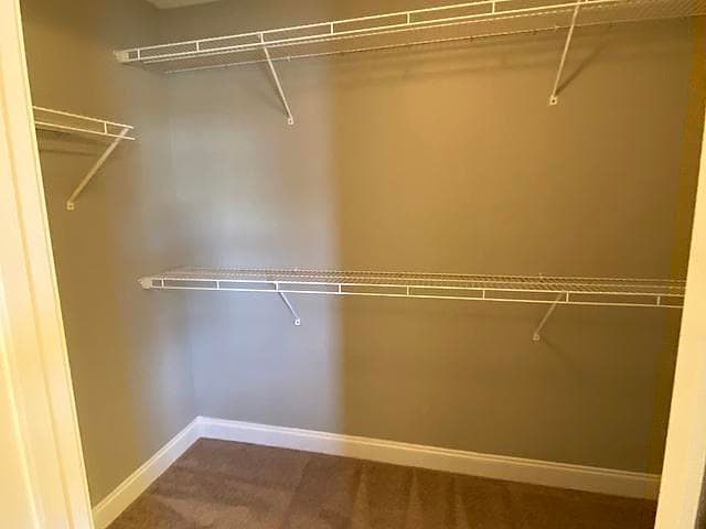 Building Photo - 911 Hidden Creek St