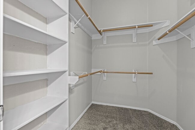 Building Photo - 9606 Babbling Spring Ct