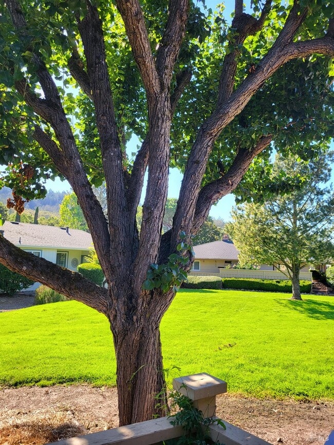 Building Photo - 404 Meadowgreen Dr