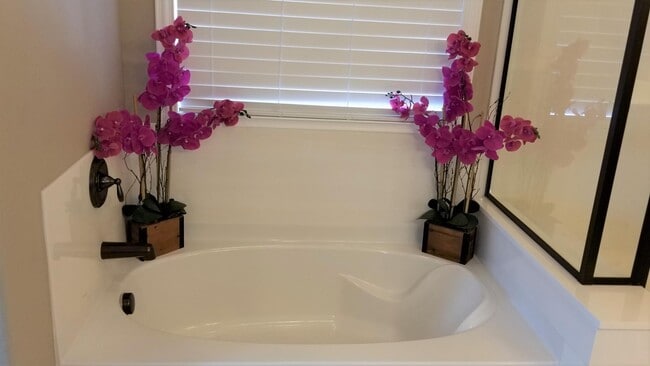 Building Photo - 2248 E Ottawa Ln