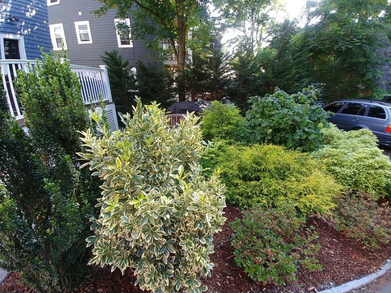 Building Photo - 21 Saint Peter St