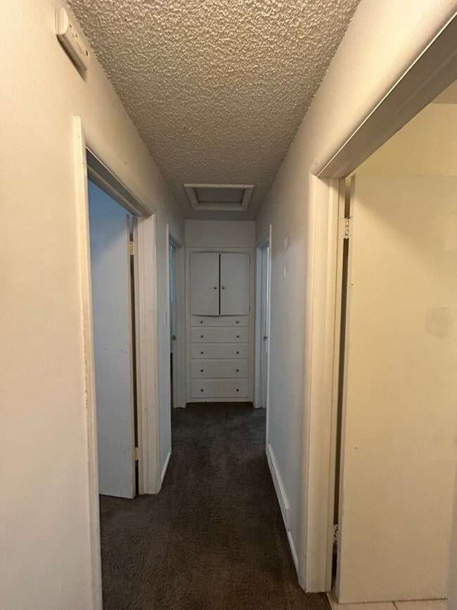 Building Photo - 3 Bed/1.5 Bath in a Cul-de-sac by Universi...