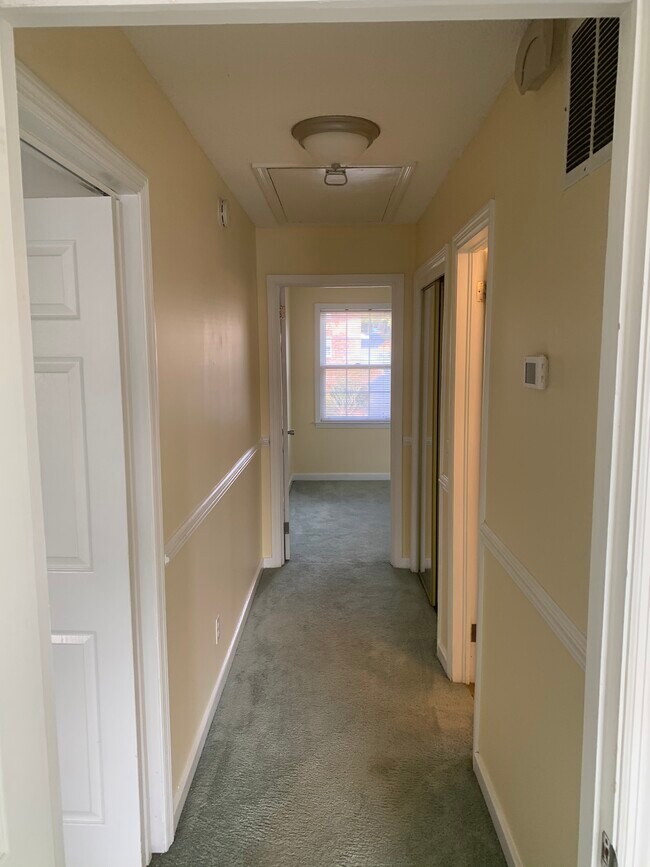 3907 Forest Dr 3907 Forest Dr Columbia SC 29204 Apartment Finder