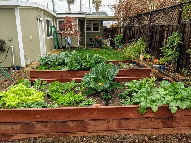 Building Photo - 2877 Collier Ave