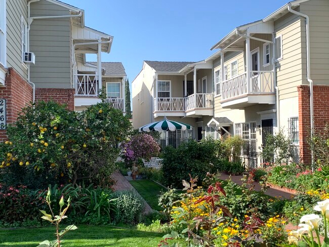 Courtyard - 1054 Masselin Ave