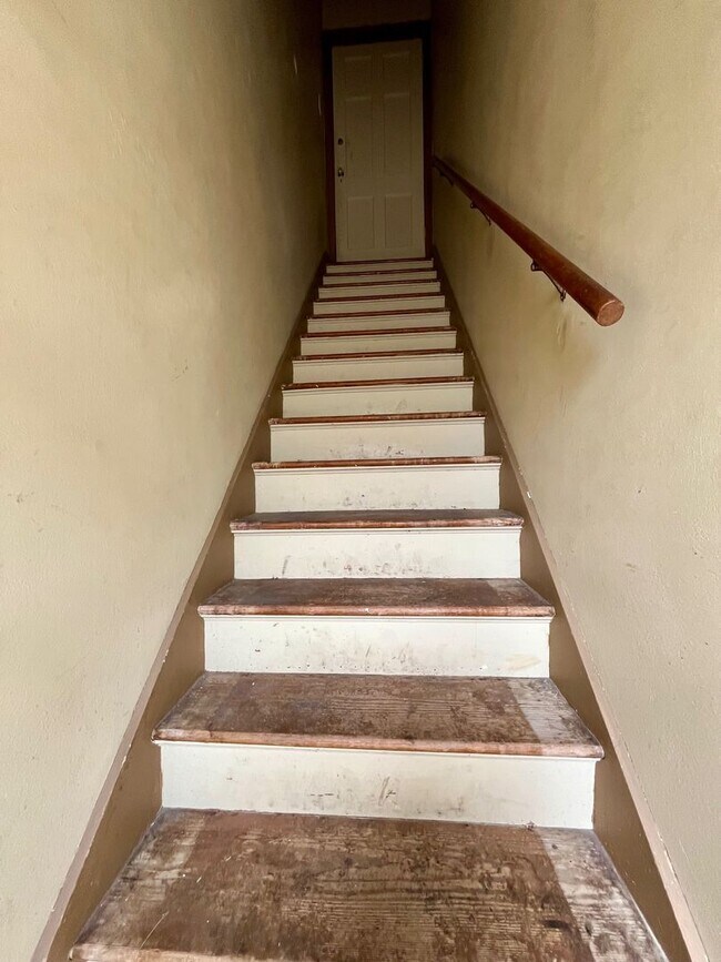 Building Photo - Move In Special! *LOCATION* Fabulous 1/1 with extra space ONE BLOCK off the St Mary's strip and c...