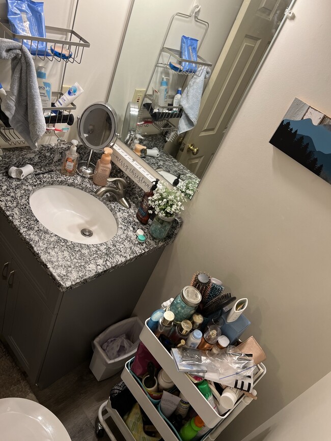 Downstairs bathroom - 403 Sharon Ave