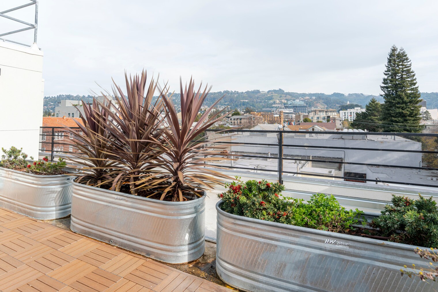 Building Photo - 1698 University Ave