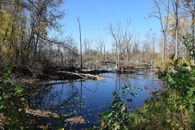 Building Photo - Shelby Twp 2-bedroom, 2-bath condo-style, private patio, 1st floor unit