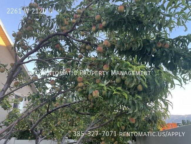 Building Photo - 2261 W 2120 N