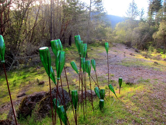 Building Photo - 323 Bodmer Ln