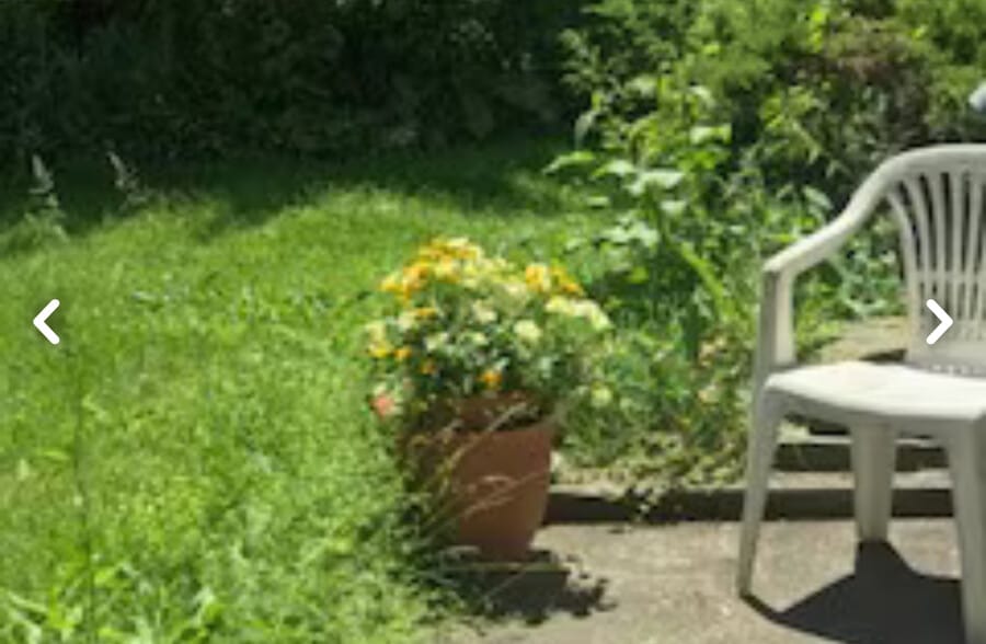 Patio - 26B Rochester St