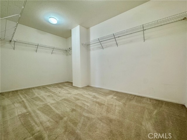 Building Photo - 16612 China Berry Ct