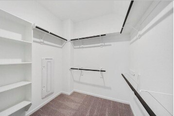 Building Photo - 5635 Foggy Vine Ct