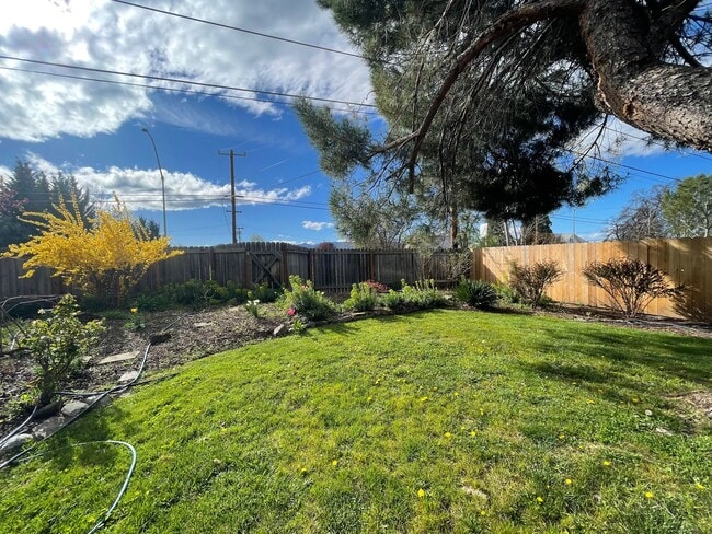 Building Photo - ALL UTILITIES INCLUDED - Country Home in the county on 1/2 Acre lot