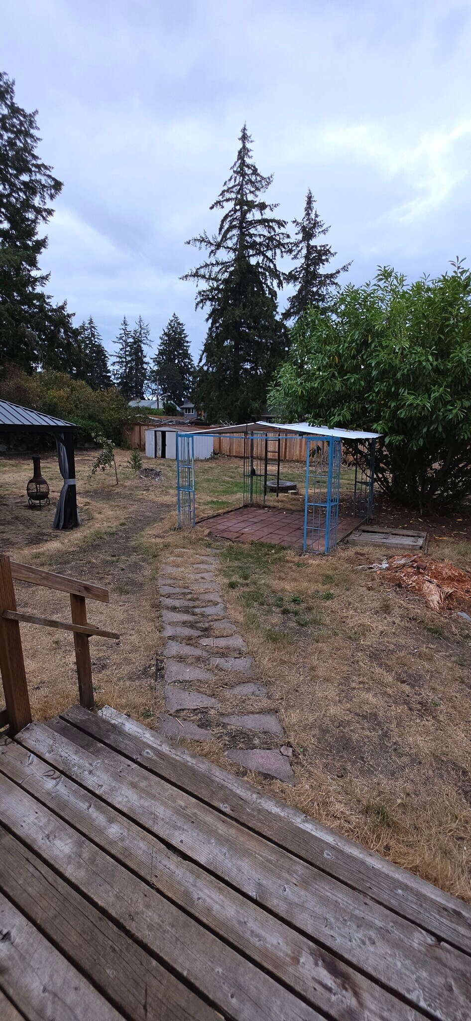Back Yard - 8802 Forest Ave SW