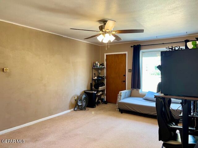 Building Photo - 10040 Keystone Ln