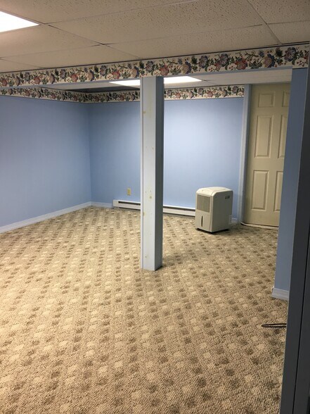 Finished basement 1 - 556 Nicholas Ave