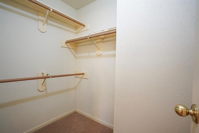 Building Photo - 1246 Manchester Cir