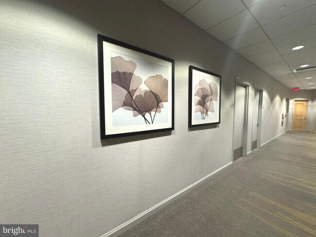 Building Photo - 901 N Penn St