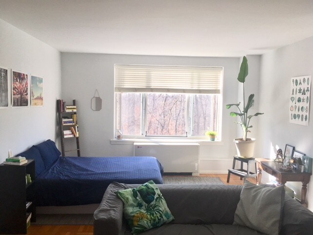 Direct Views of the Park - 4100 W St NW