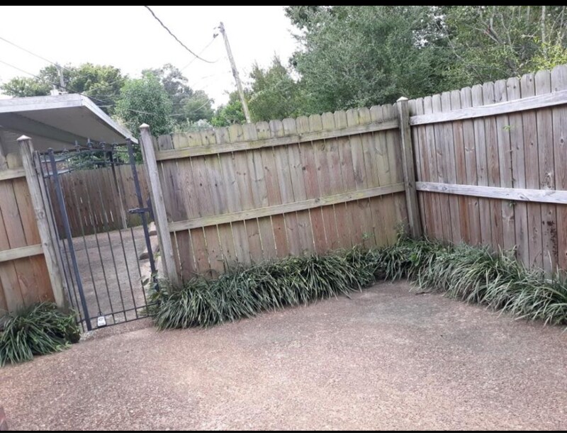 Building Photo - 1641 Forest Ave