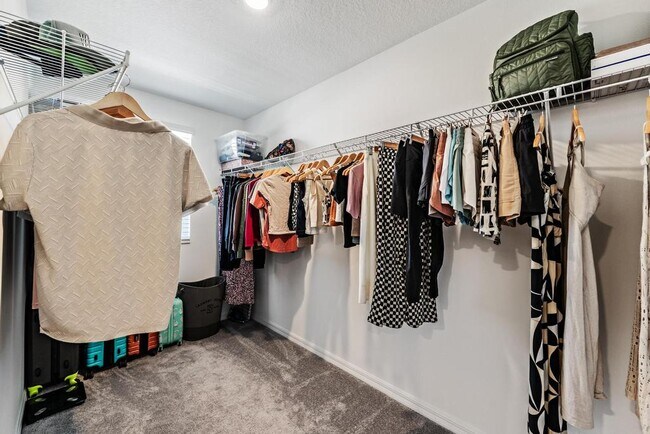 Building Photo - 11298 Radiant Shr Lp