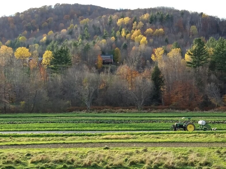 Field behind yard - 5342 Main Rd