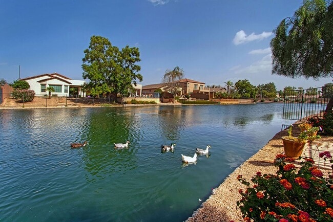 Building Photo - 938 E Indian Wells Pl