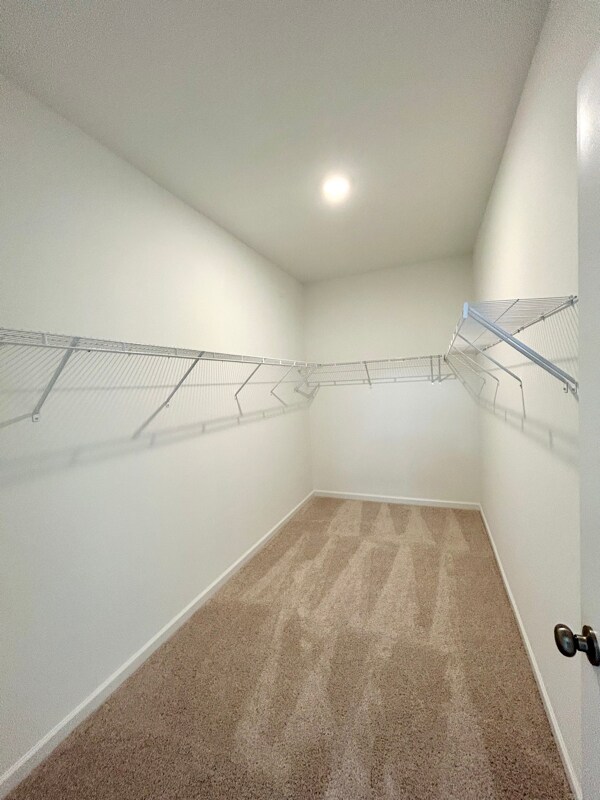 Building Photo - 206 Summerlin Dr