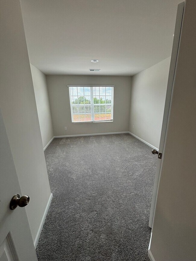 Building Photo - Brand new Townhome in Chestnut Springs
