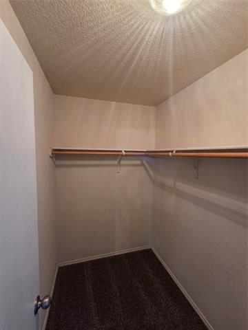 Building Photo - 8138 Mossberg Dr
