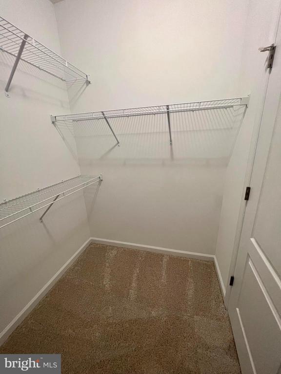 Building Photo - 3141 Eton Pl