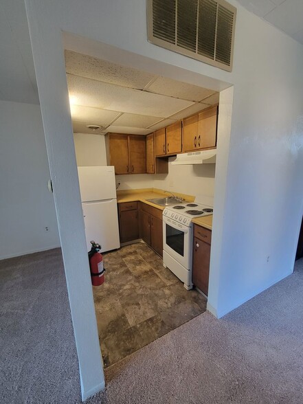 Interior Photo - Treehouse Apartments