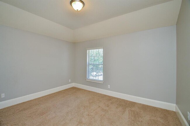 Building Photo - 10910 Milano Ct