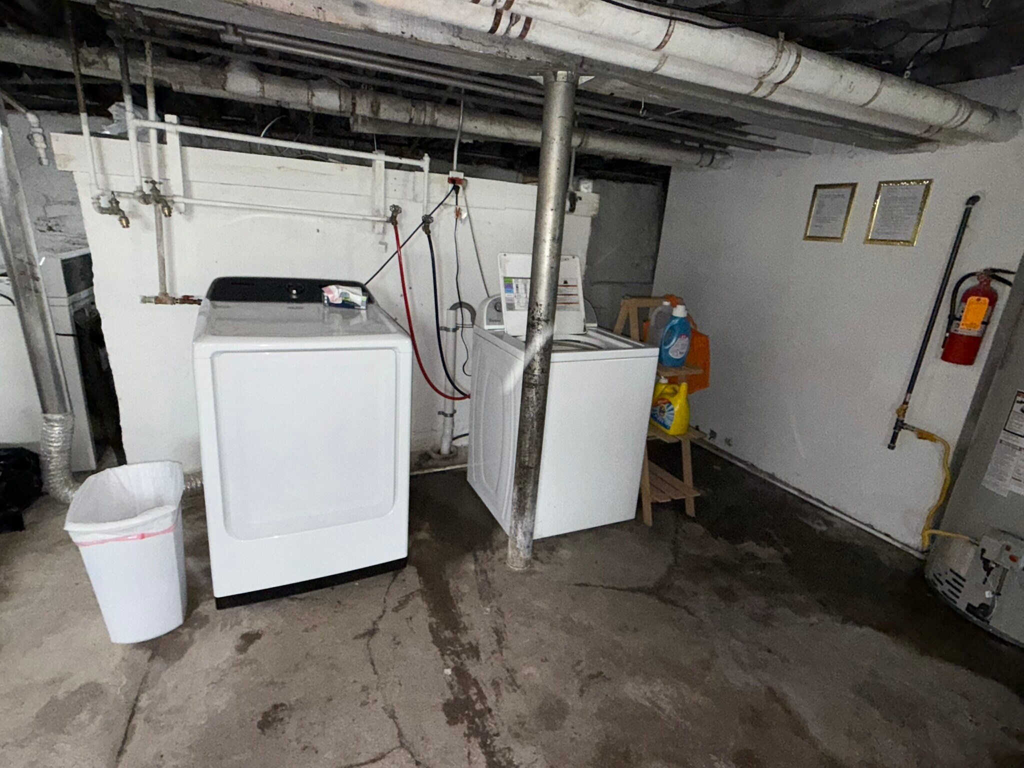 shared laundry in the basement - 510 Mather St