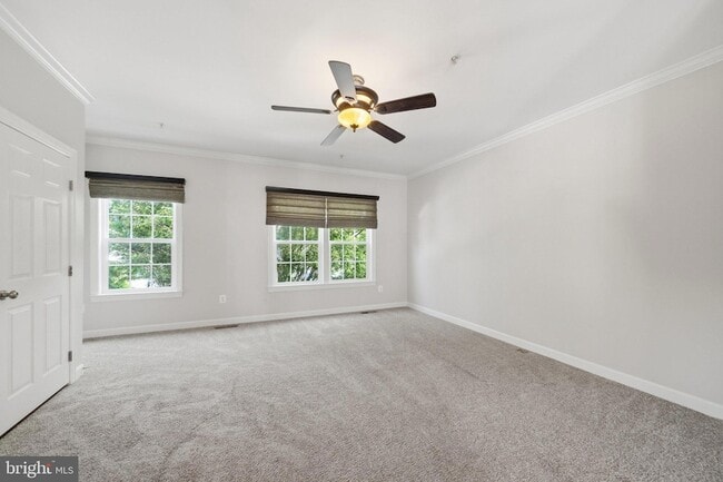 Building Photo - 8921 Amelung St
