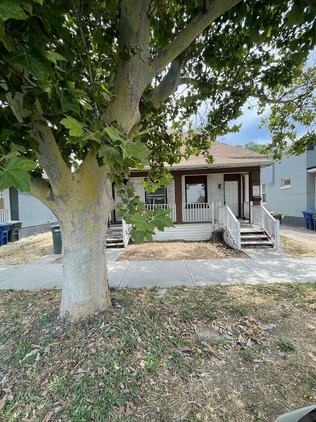 Primary Photo - Roche Duplex