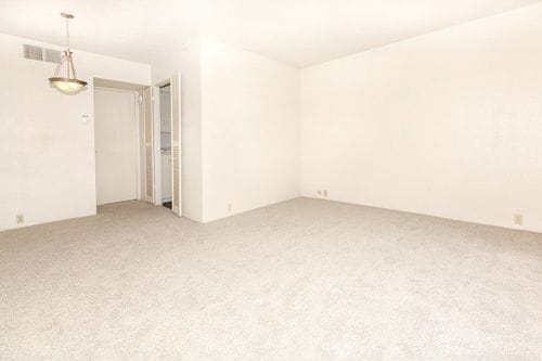 Building Photo - 1617 Fountain View Dr