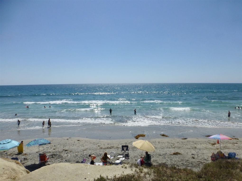 Building Photo - 835 Mistletoe Ln