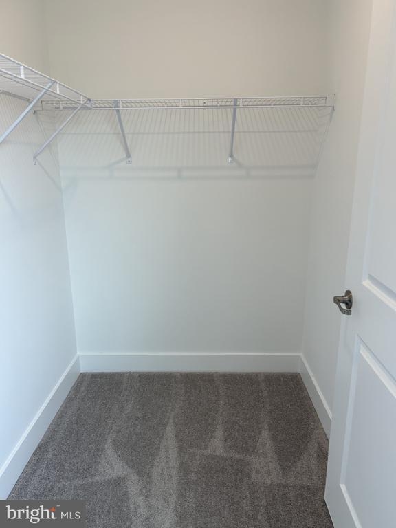 Building Photo - 2203 Prince Hall Dr