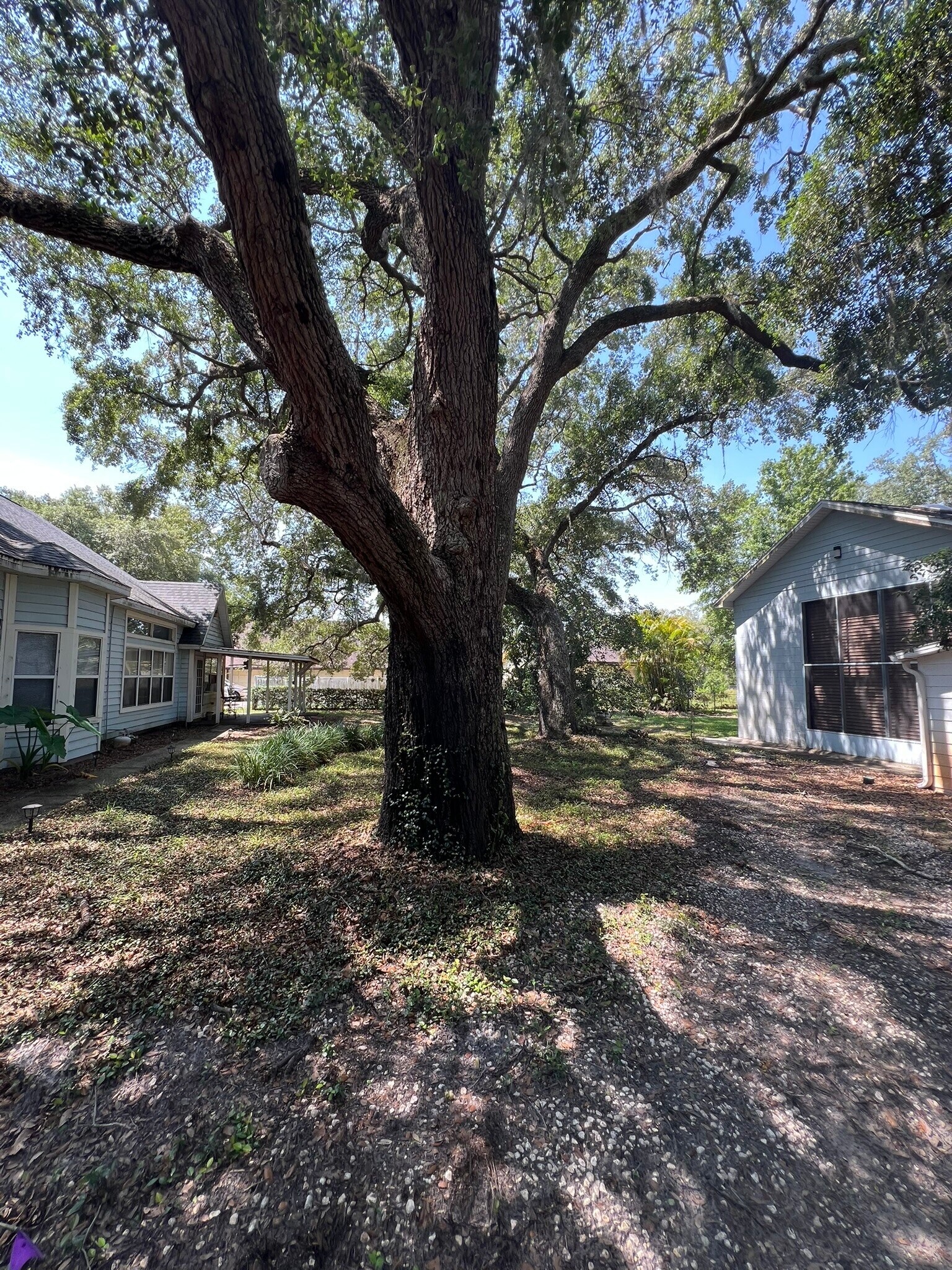 Building Photo - 2540 Greenwood Dr